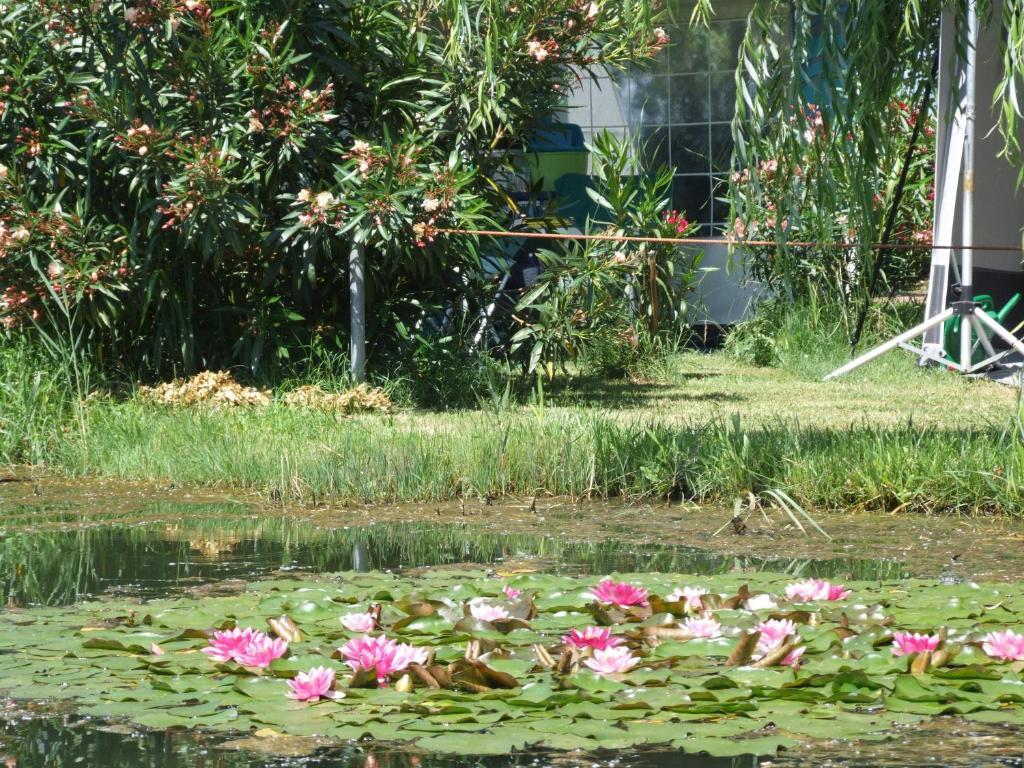 Camping Villaggio Italgest SantʼArcangelo Exteriér fotografie